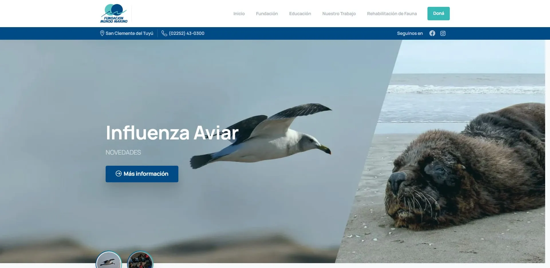 Imagen del proyecto Fundación Mundo Marino